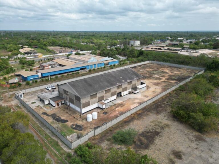 WhatsApp Image 2026-03-16 at 11.53.12 AM